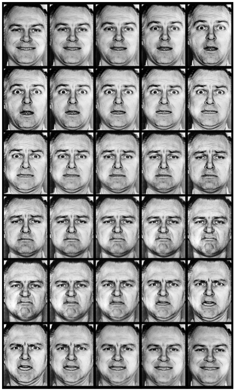 Illustration for article titled How scientists discovered the "fear center" of the brain